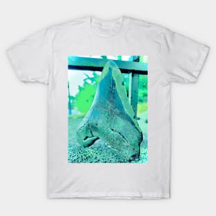 Feelin’ Lucky Tooth T-Shirt